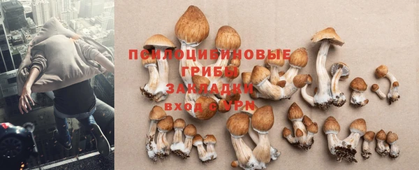 каннабис Абинск