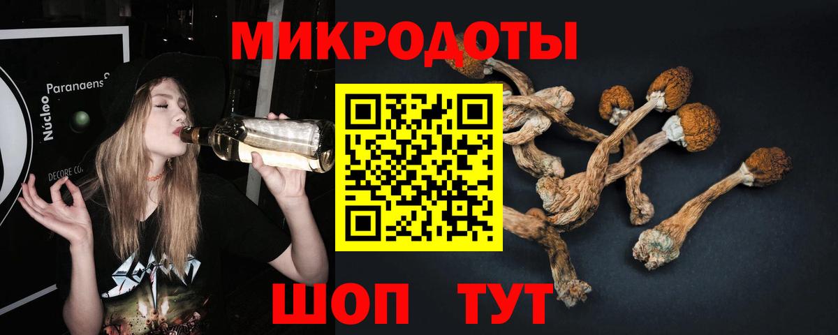 Галлюциногенные грибы MAGIC MUSHROOMS Новокузнецк