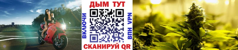 Конопля Amnesia  Новокузнецк 